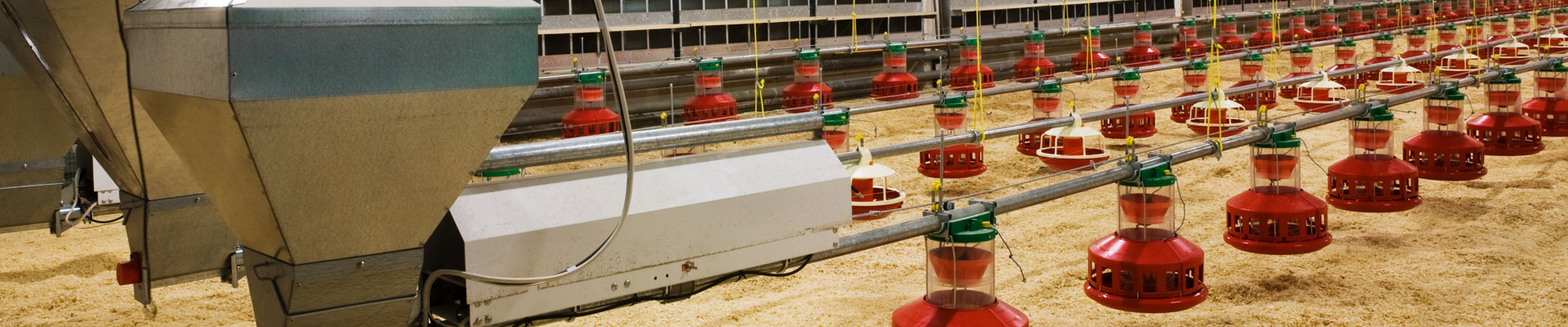 Broiler Houses